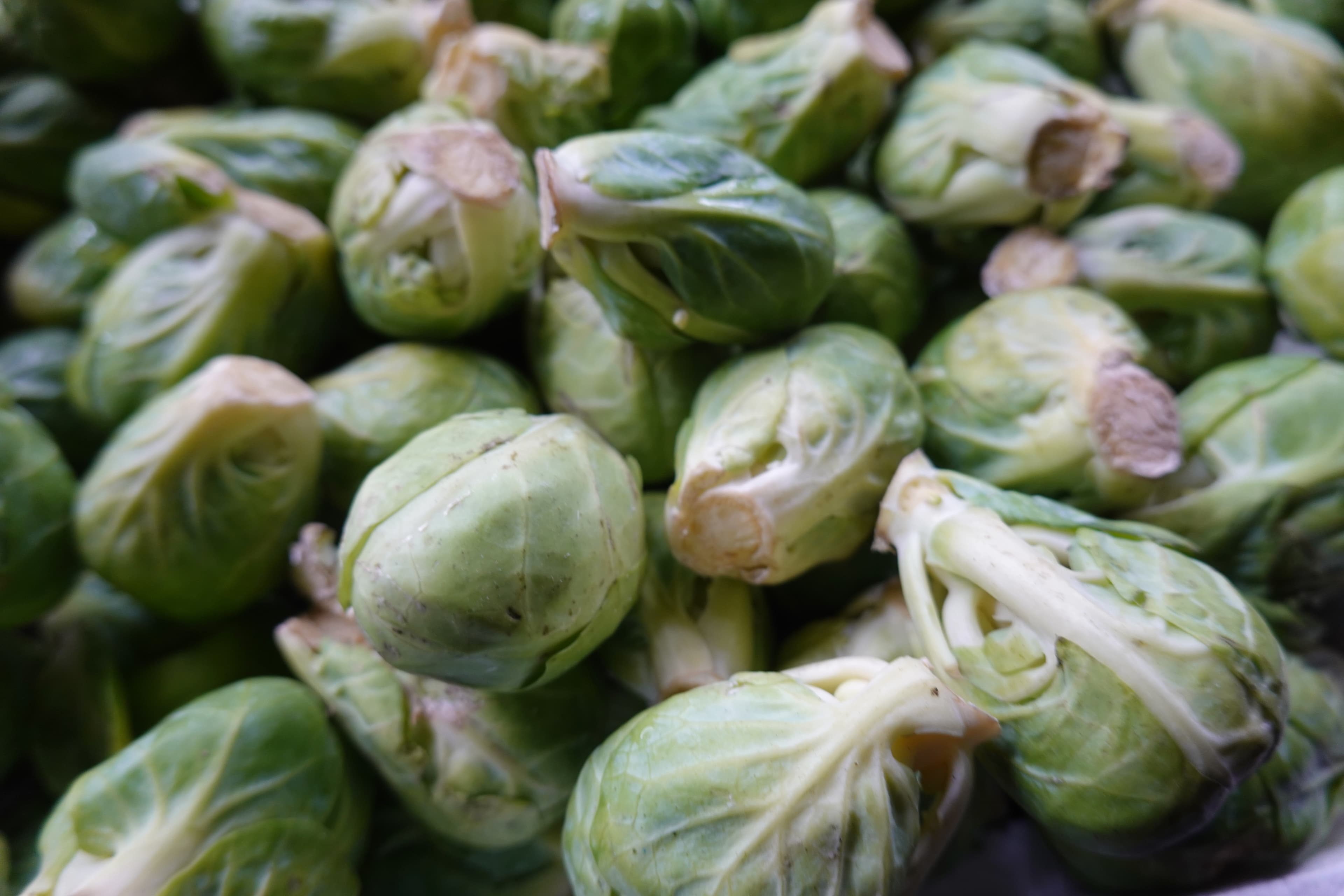 Fresh seasonal produce