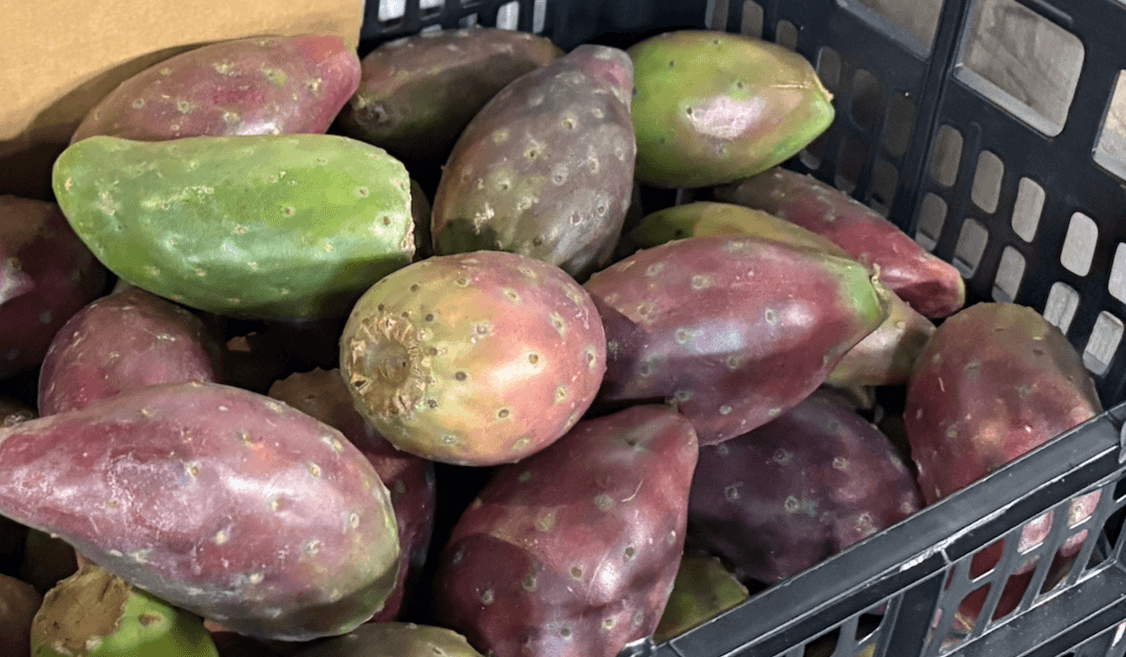 Seasonal fruits and vegetables